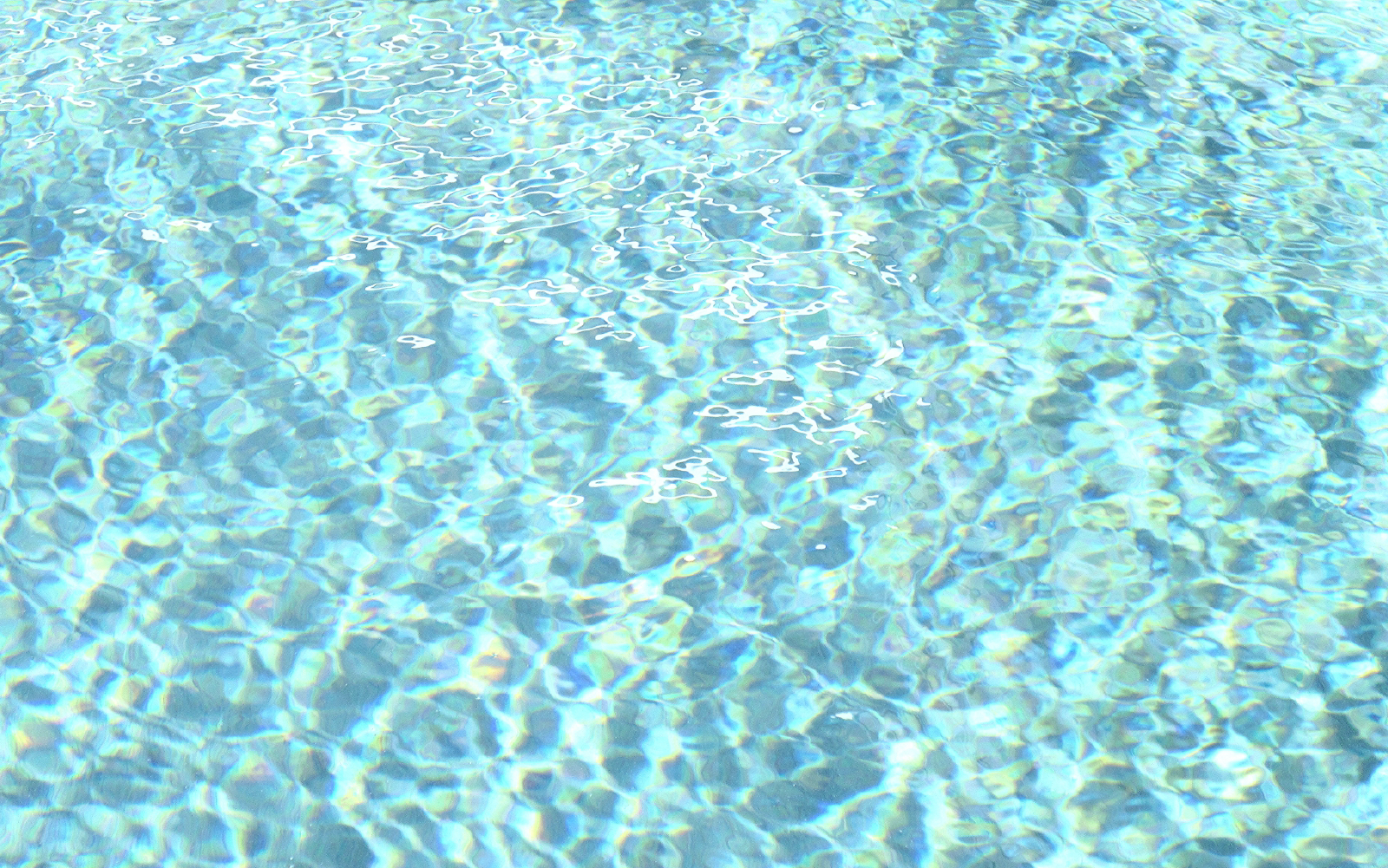 標準的なWebサイトに必要な基本機能を全て装備